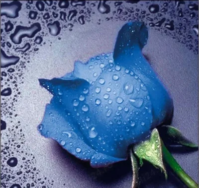 Caut o relatie serioasa