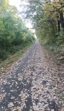 Tanar rafinat,momente deosebite - imagine 1