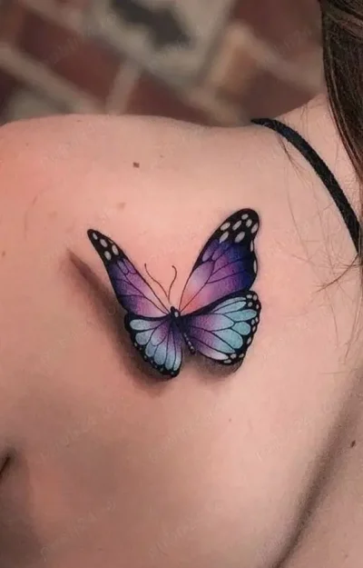 Caut o tipă trans sau femboy.