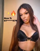 New Ts in town! Private Company - imagine 1