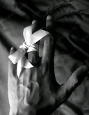 ***Băiat 19 ani*** - imagine 1