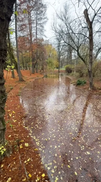 Relația romantică discretă