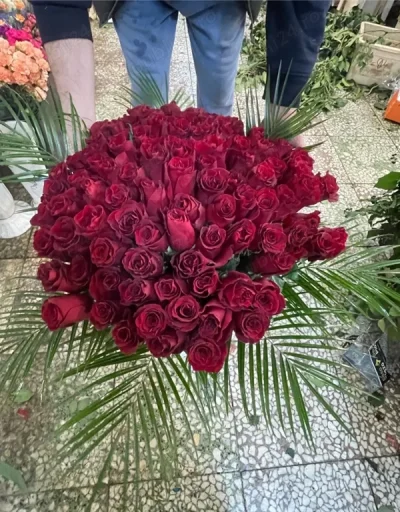 Rasfat pt doamne si domnisoare