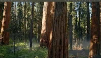 Matrimoniale Gay Lesbi - editat - repostare automata x5. - lasati in WTFC