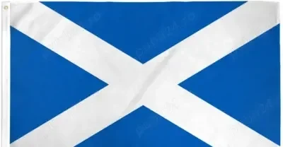 Caut colega pentru scoția (glasgow)