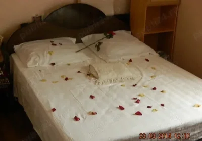 Doresc cunostinta doamna singura, ptr prietenie, relatie .