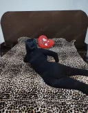 Doar deplasări la Hotel sau la tine - imagine 4