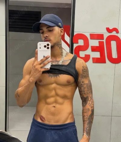 Laurentiu tanar bi pt domnii seriosi