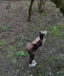 FAC doar deplasari - imagine 4