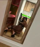 Nouă în oraș Partty girl - imagine 2