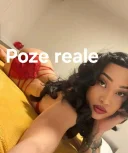 Trans 24 24 ofer și show web deplasări - imagine 2