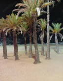 Escorta Masculină - imagine 1