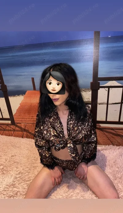 Deplasari Full service Garantat