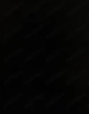 Doamne și Domnișoare - imagine 3