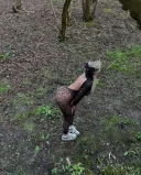 Nouă în orașul tău! Clujeancă - imagine 1