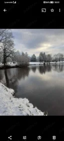 Companie placuta pentru doamne de vârsta a treia - imagine 1