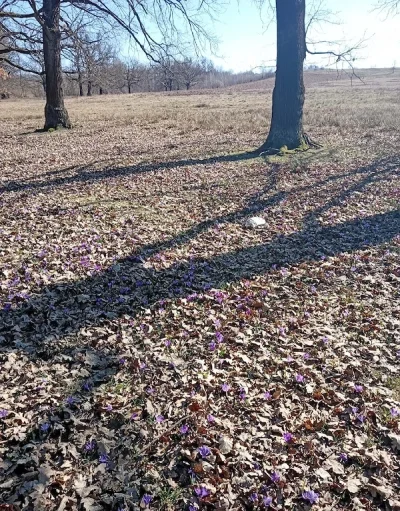 Buna ma numescAlexia