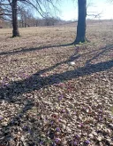 Buna ma numescAlexia - imagine 4