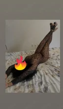 Nouă în orașul tău ! - imagine 1