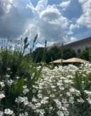 Tânăr neglijat sentimental, , caut o doamnă sau domnișoară aflată în aceeași situație, - imagine 2