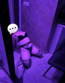 Buna sunt lary - imagine 4