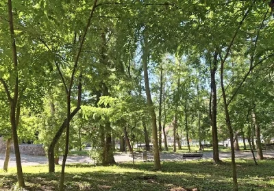 DISCRET SI ,disponibil pentru femei Din Slatina