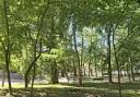 DISCRET SI ,disponibil pentru femei Din Slatina - imagine 1