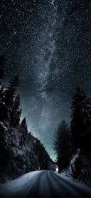 Pentru doamne ai domnisoare - imagine 2