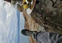 Cash si susținere - imagine 1