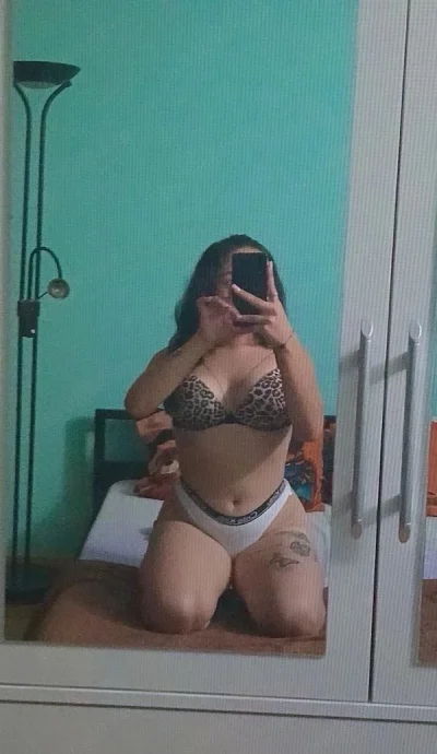 Nou in oasul tau